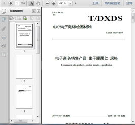 T DXDS 002 2019电子商务销售产品 生干腰果仁 规格10页